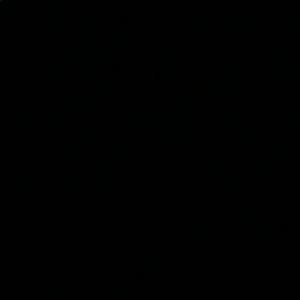 Meet your Posher, Tyson